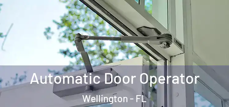 Automatic Door Operator Wellington - FL