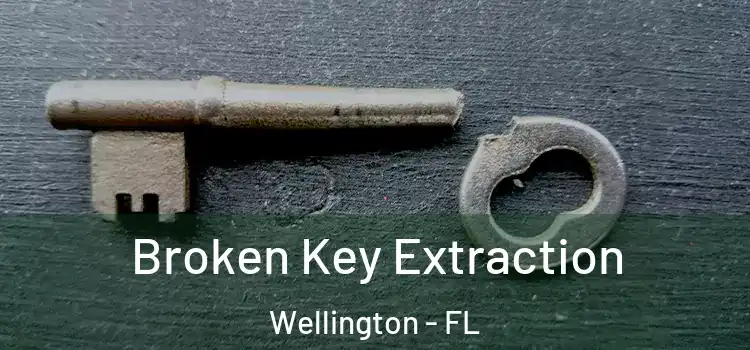 Broken Key Extraction Wellington - FL
