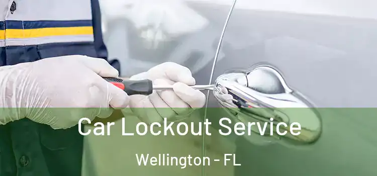 Car Lockout Service Wellington - FL