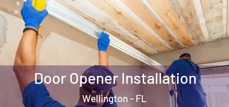 Door Opener Installation Wellington - FL