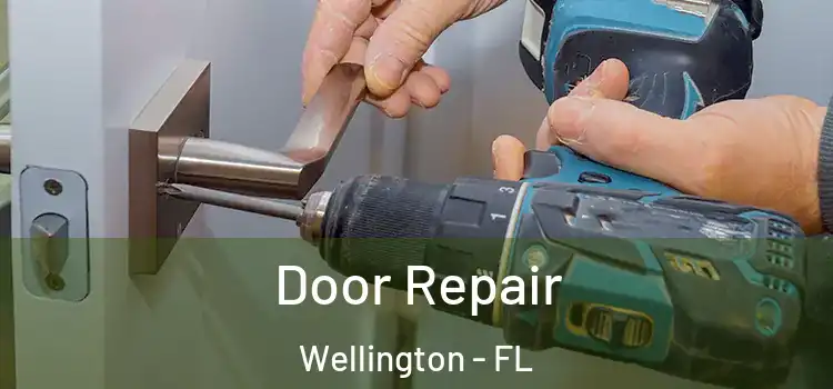 Door Repair Wellington - FL