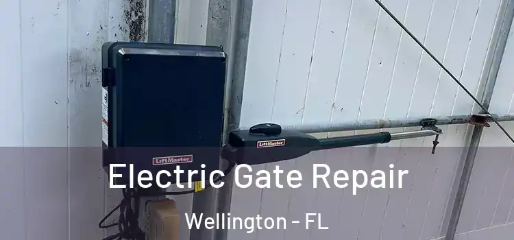 Electric Gate Repair Wellington - FL