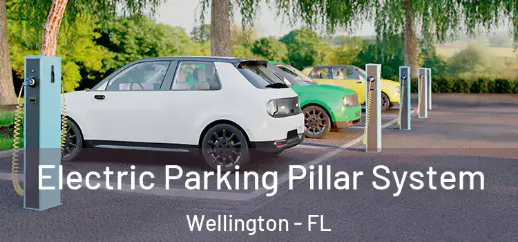 Electric Parking Pillar System Wellington - FL