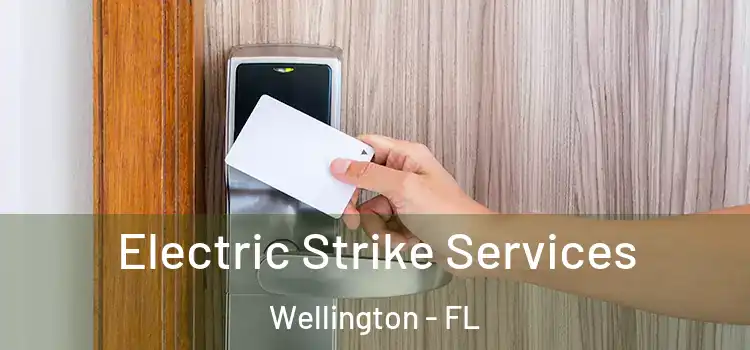 Electric Strike Services Wellington - FL
