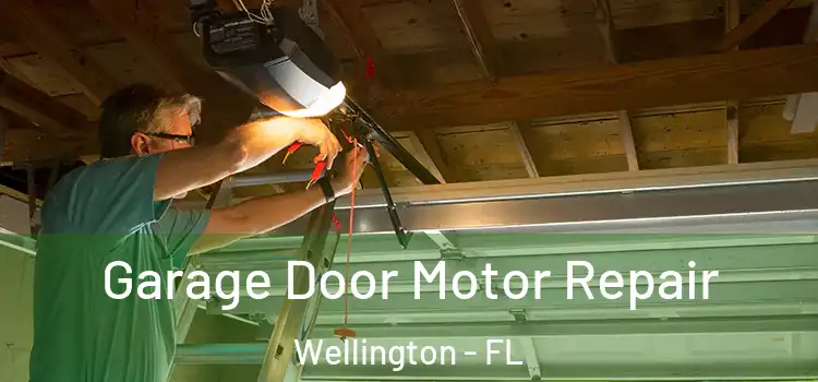  Garage Door Motor Repair Wellington - FL