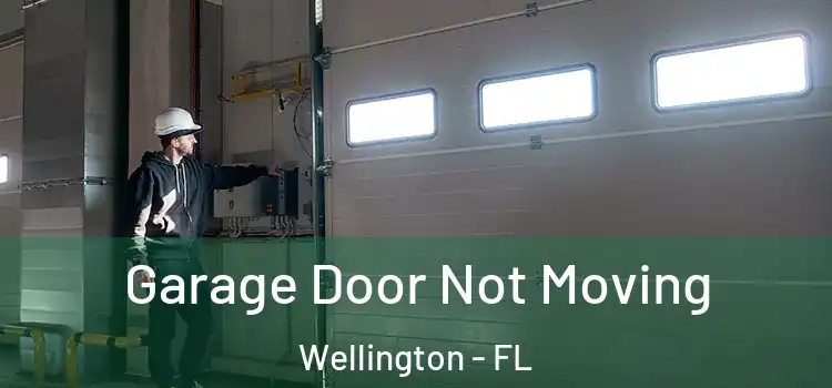  Garage Door Not Moving Wellington - FL