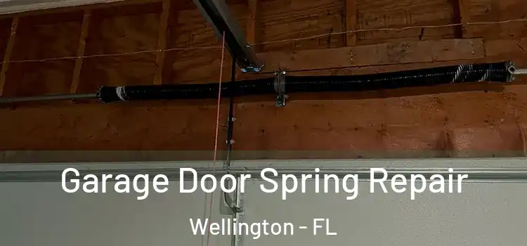  Garage Door Spring Repair Wellington - FL