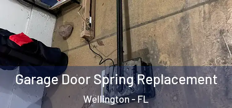 Garage Door Spring Replacement Wellington - FL