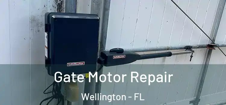 Gate Motor Repair Wellington - FL