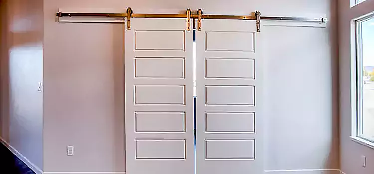 Glass Barn Door with Installation Hardware Kit Wellington