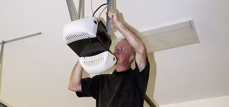 Garage Door Opener Service Wellington