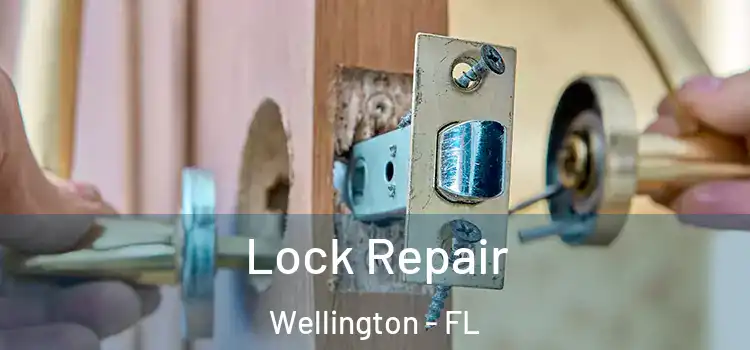 Lock Repair Wellington - FL