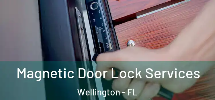 Magnetic Door Lock Services Wellington - FL