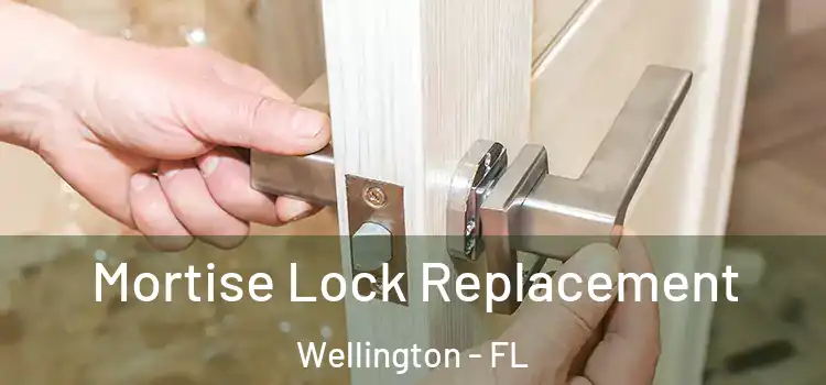 Mortise Lock Replacement Wellington - FL