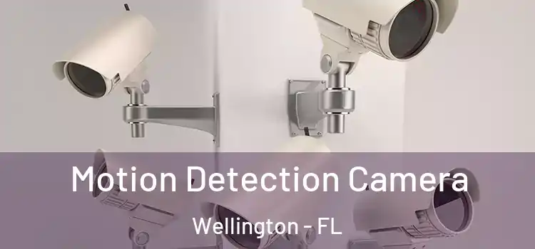  Motion Detection Camera Wellington - FL