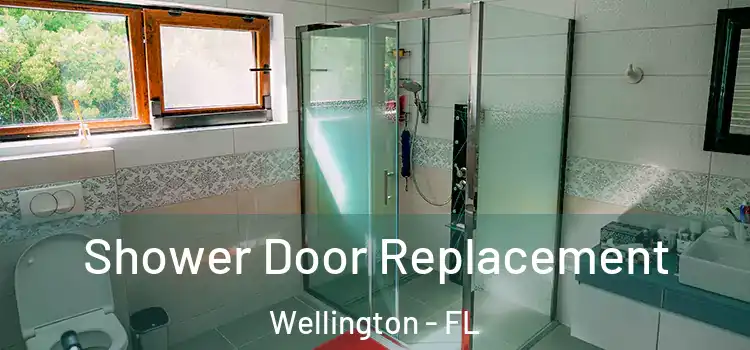 Shower Door Replacement Wellington - FL