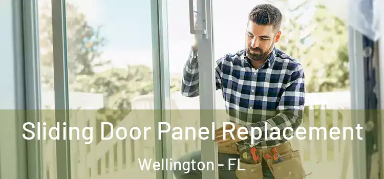  Sliding Door Panel Replacement Wellington - FL