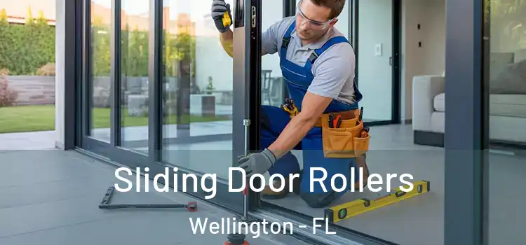 Sliding Door Rollers Wellington - FL