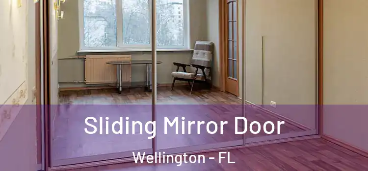  Sliding Mirror Door Wellington - FL