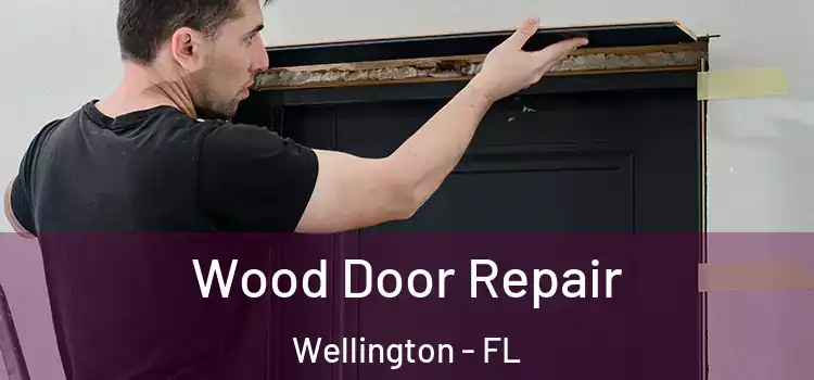 Wood Door Repair Wellington - FL